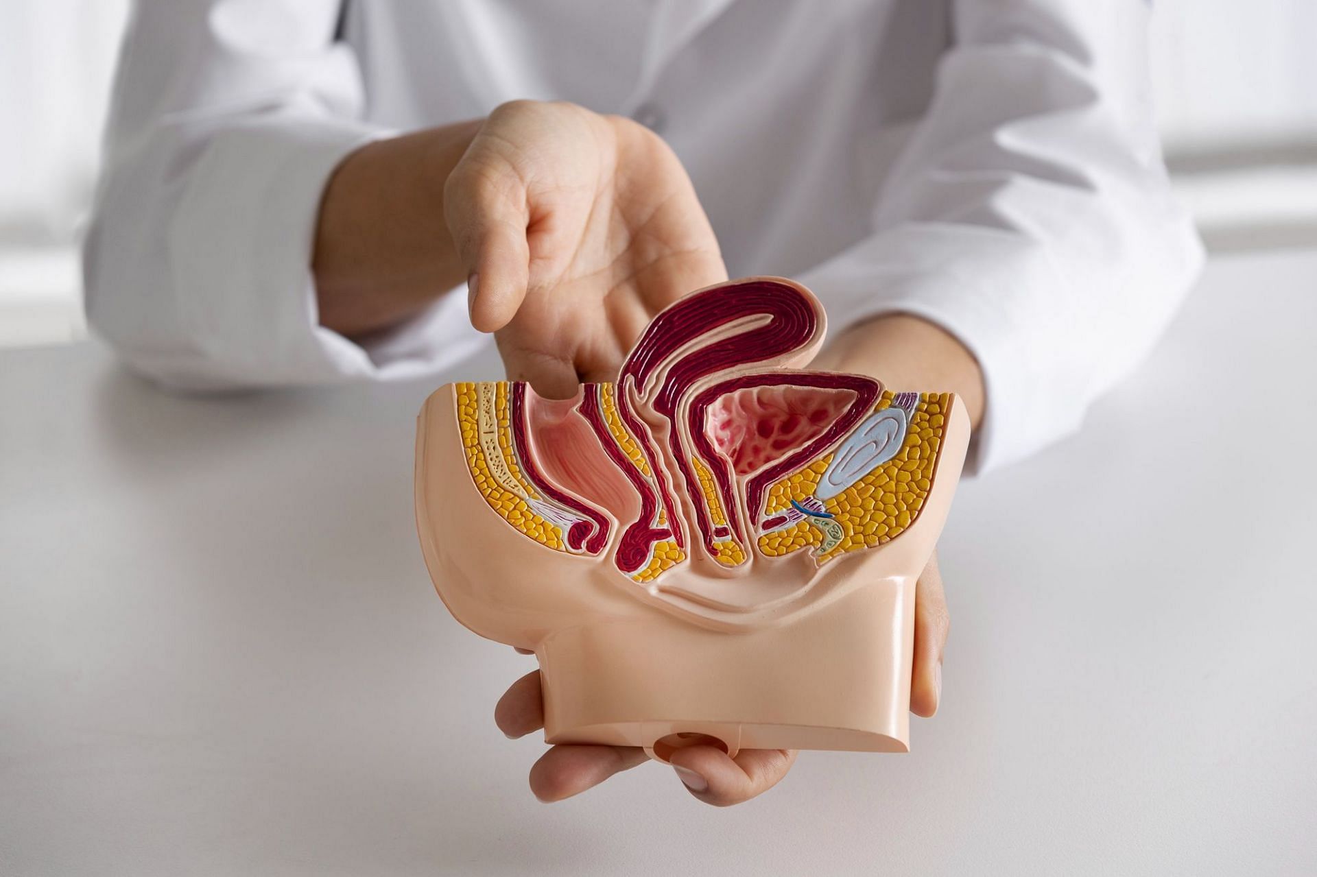 Most common cancer in men: testicular type (Image by Freepik)